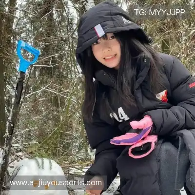 晏清飚